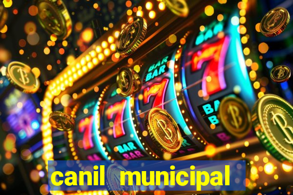 canil municipal porto alegre